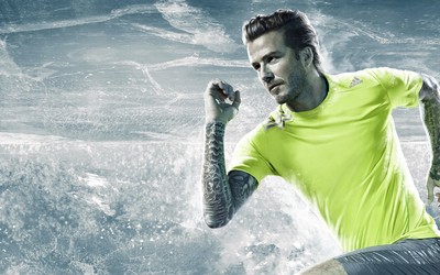 熊猫体育精华-为国家和人民而战